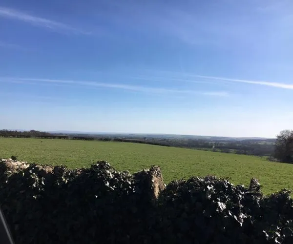 Cliff Stud Field